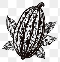 PNG A cacao pod in oldschool handpoke tattoo style food white background monochrome.