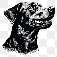 PNG A dog in tattoo flash illustration style drawing animal mammal.