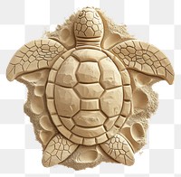 PNG Reptile animal creativity tortoise.