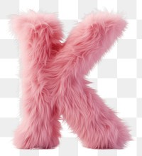 PNG  Fur letter K mammal pink accessories.