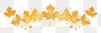 PNG Maple leave divider ornament pattern plant leaf.