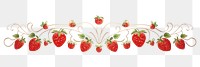 PNG Stawberry divider ornament strawberry fruit plant.