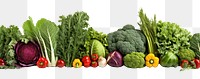 PNG Vegetable broccoli plant food.