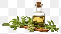 PNG Homeopathy herb herbs bottle plant.