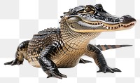 PNG Reptile animal lizard crocodile