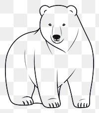 PNG Bear mammal sketch white.