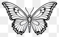 PNG Butterfly sketch drawing animal.