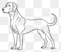 PNG Dog sketch drawing animal.