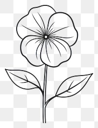 PNG Flower sketch drawing plant.