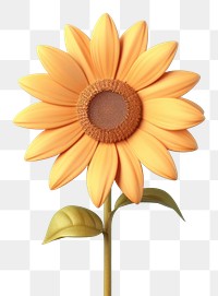 PNG Sunflower petal plant inflorescence.