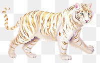 PNG Animal mammal tiger carnivora.