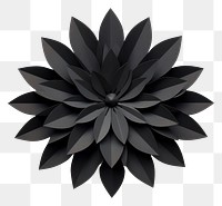 PNG  Black flower origami dahlia plant.