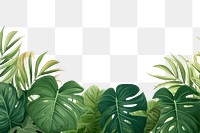 PNG Monstera backgrounds vegetation outdoors.