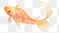 PNG Koi fish goldfish animal koi.