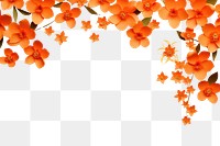 PNG  Orange flower border backgrounds petal plant.