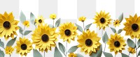 PNG Sunflower floral border backgrounds plant petal.