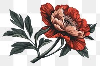 PNG  Peony pattern flower plant