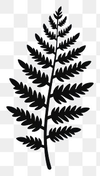 PNG Silhouette plant fern leaf.