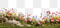 PNG Flower landscape grassland outdoors