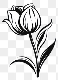 PNG Cute tulip flower pattern drawing sketch.