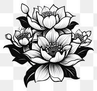 PNG Lotus pattern drawing flower