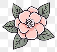 PNG Pink Camellia flower pattern drawing sketch.