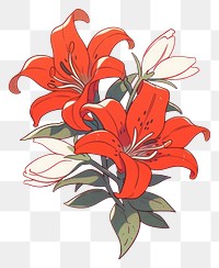 PNG Red Liliy flower pattern plant lily.