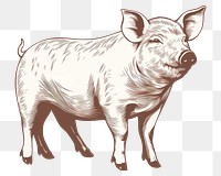 PNG Full body pig logo drawing mammal animal.