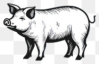 PNG Pig logo drawing animal mammal.