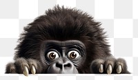 PNG Wildlife gorilla mammal animal