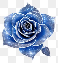 PNG Blue rose icon flower petal plant.
