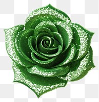 PNG Green rose icon jewelry flower plant.