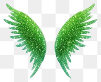 PNG Accessory feather pattern fairy.