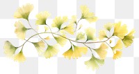 PNG Ginkgo border watercolor pattern flower plant.