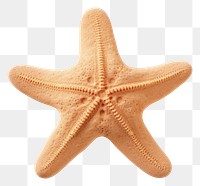 PNG Sand sculpture of starfish white background invertebrate simplicity.