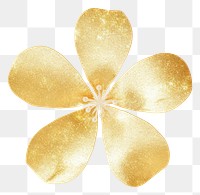 PNG Gold flower icon shape petal white background.