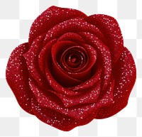 PNG Red rose icon jewelry flower petal.