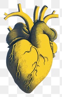 PNG Realistic heart yellow blue creativity.