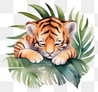 PNG Watercolor baby tiger sleeping animal wildlife cartoon.