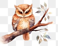 PNG Watercolor owl sleeping animal cartoon branch.
