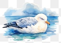 PNG Watercolor seagull sleeping animal outdoors cartoon.