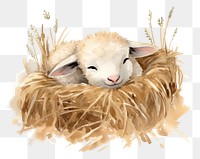 PNG Watercolor sheep sleeping animal cartoon mammal.