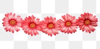 PNG Daisy pattern adhesive strip flower dahlia petal.