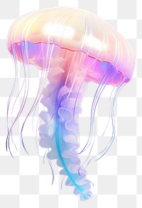 PNG Jelly fish jellyfish invertebrate transparent.