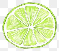 PNG Lime drawing fruit line.