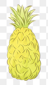 PNG Pineapple drawing fruit plant.
