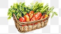 PNG Carrot busket basket plant food.