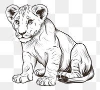 PNG Lion cub wildlife drawing animal.