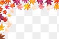 PNG Maple backgrounds plant paper.
