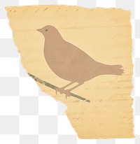 PNG Bird shape ripped paper animal text white background.